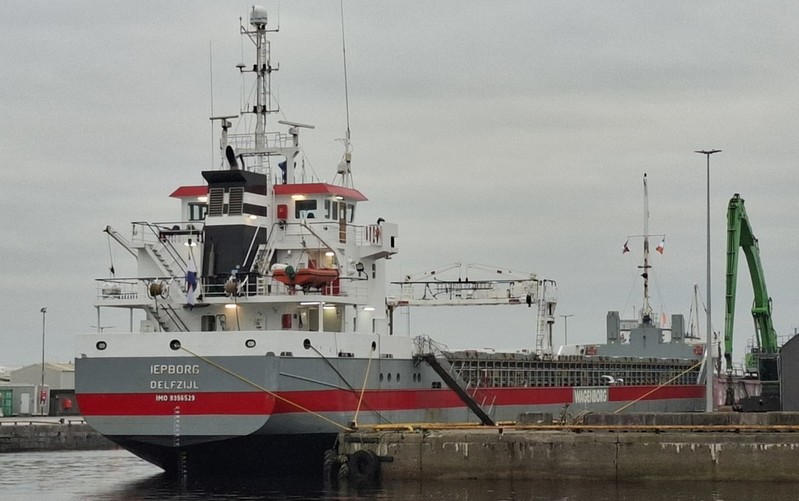 IEPBORG
