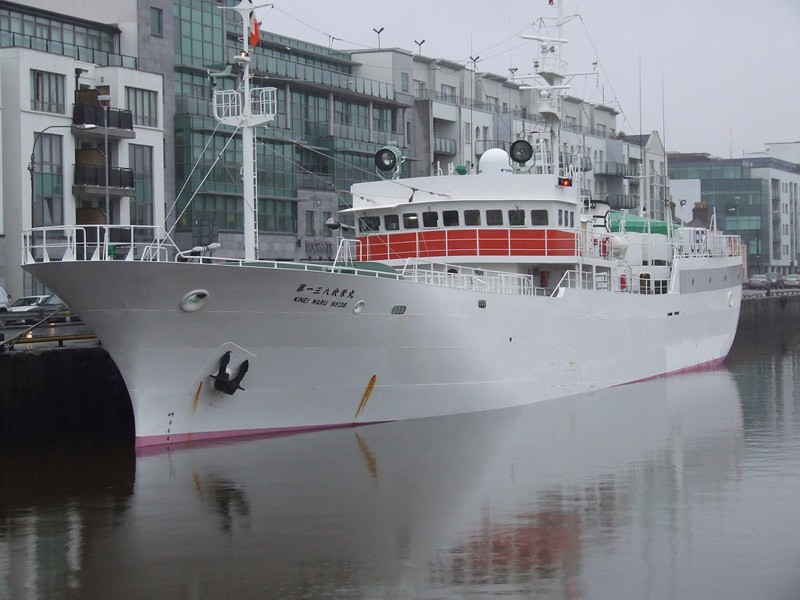 Japanese Trawler Kinei Maru No 138