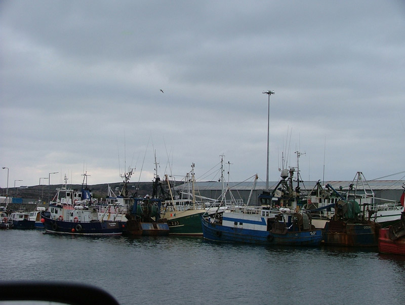 Various trawlers tied up at Rossaveal