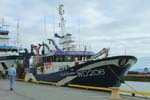Wexford Trawler Ellie-Adhamh