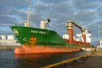Cargo Ship Thor Swan